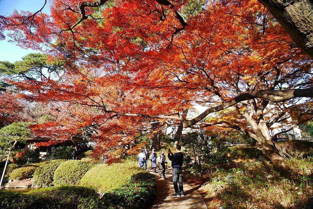 東京自助遊攻略