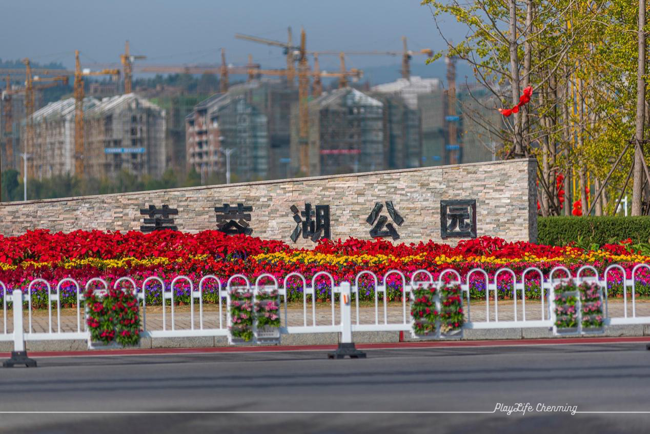 芙蓉湖公园 灿烂花海流连忘返