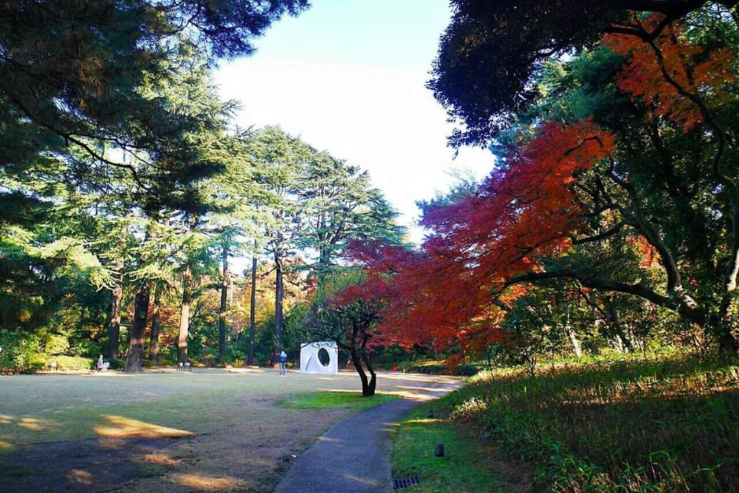 東京自助遊攻略