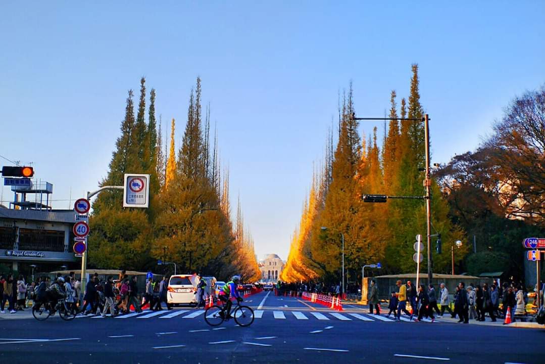 東京自助遊攻略