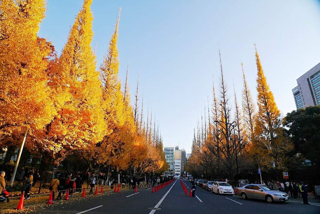 東京自助遊攻略