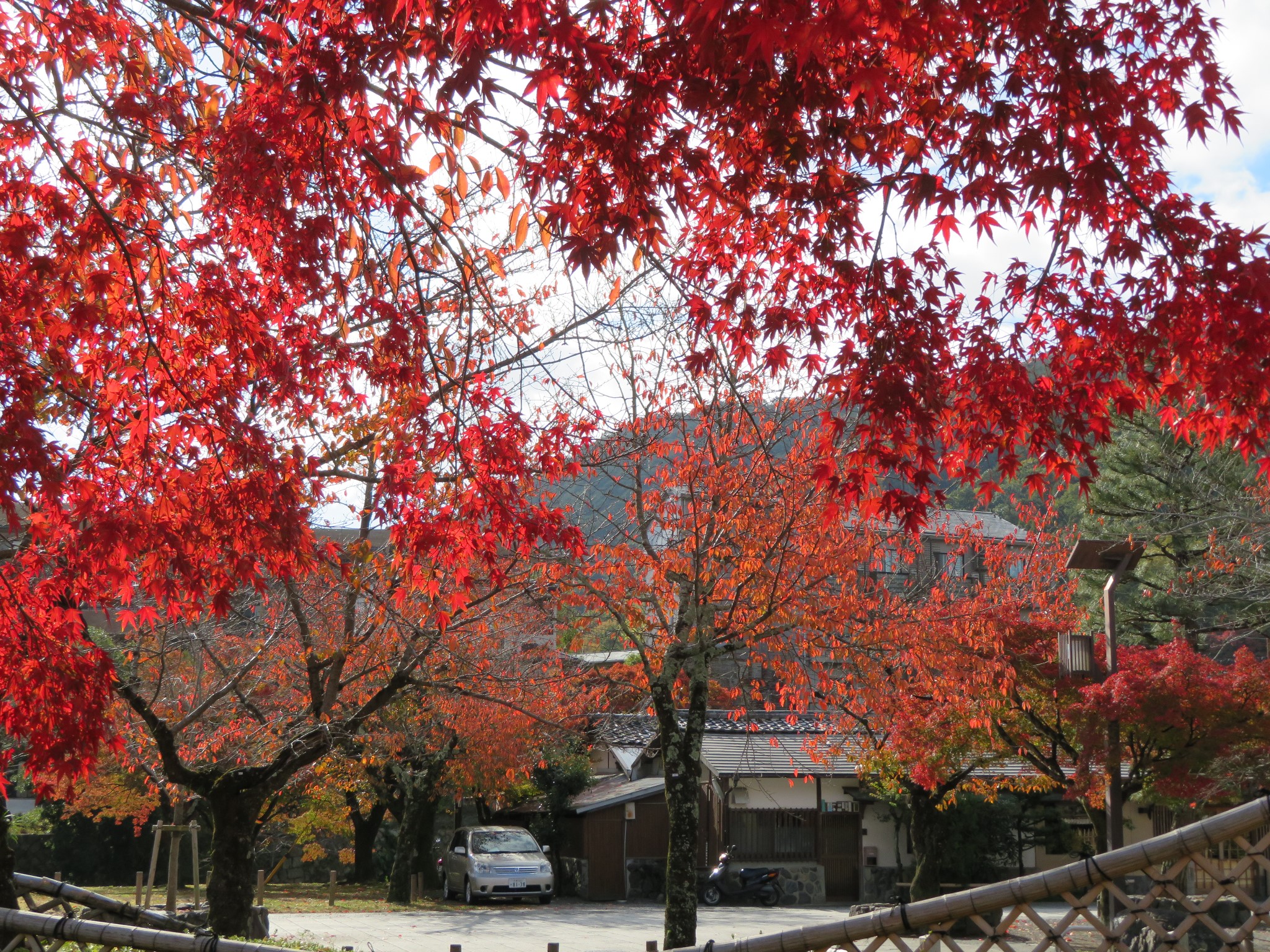 京都自助遊攻略