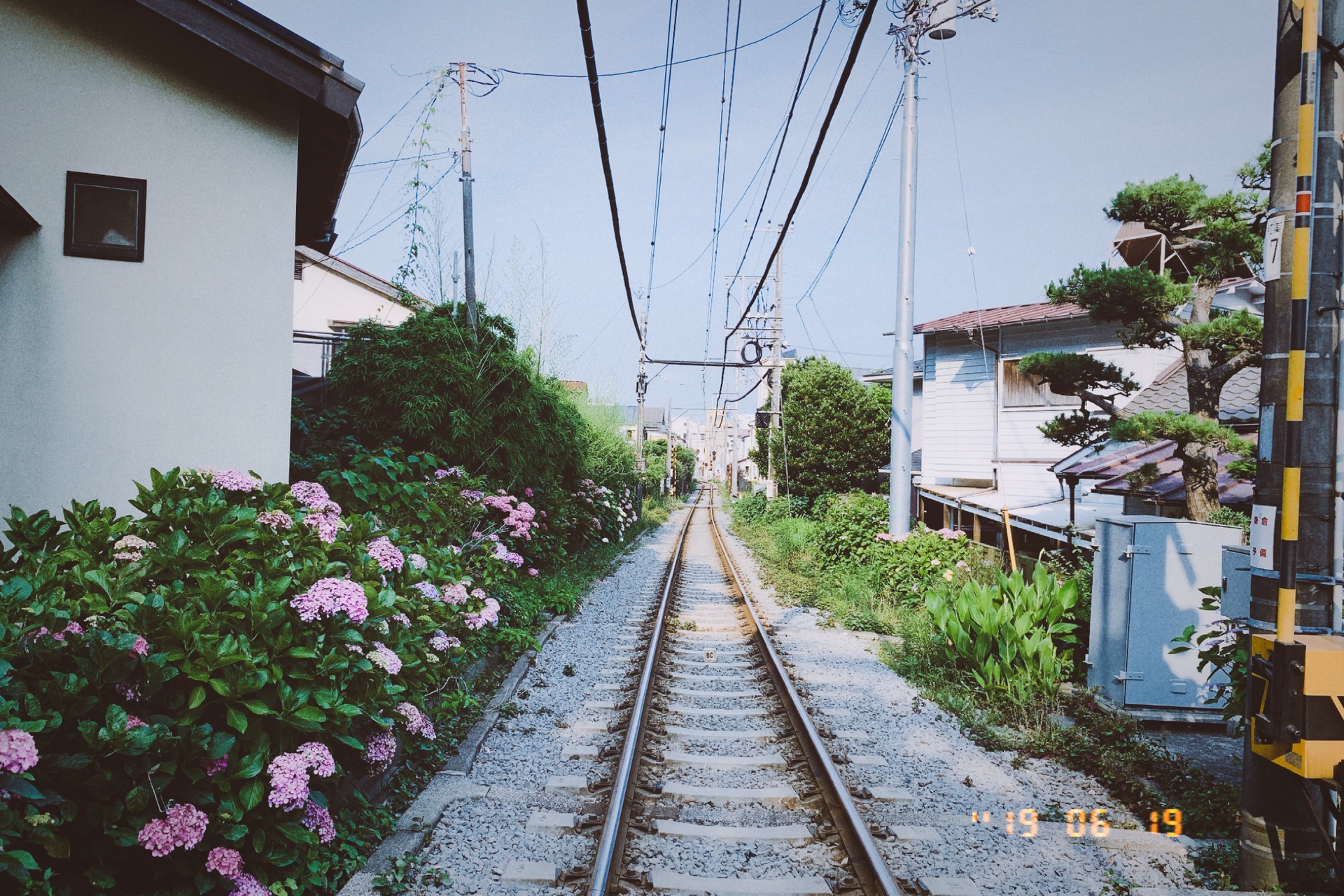 東京自助遊攻略