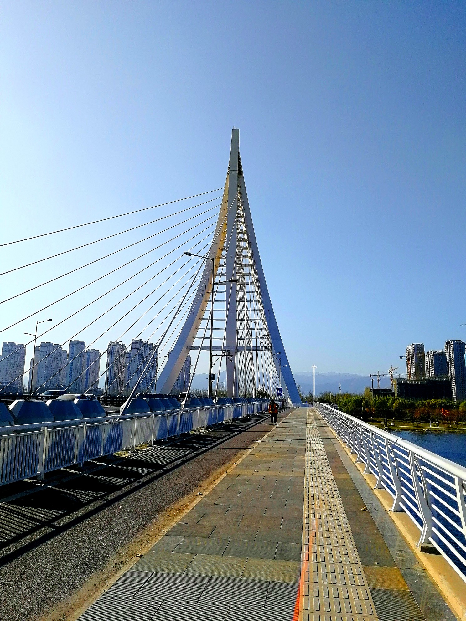 太原汾河公园之六雁桥