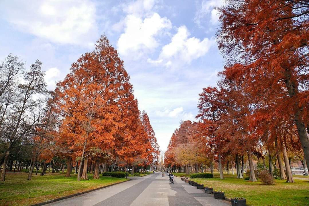 東京自助遊攻略