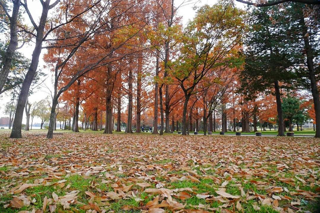 東京自助遊攻略