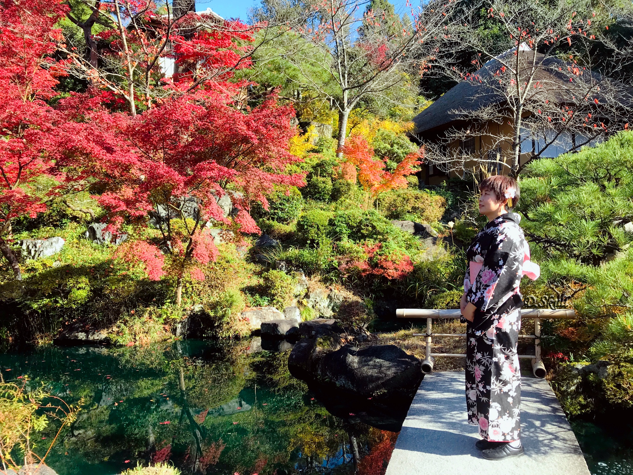 京都自助遊攻略