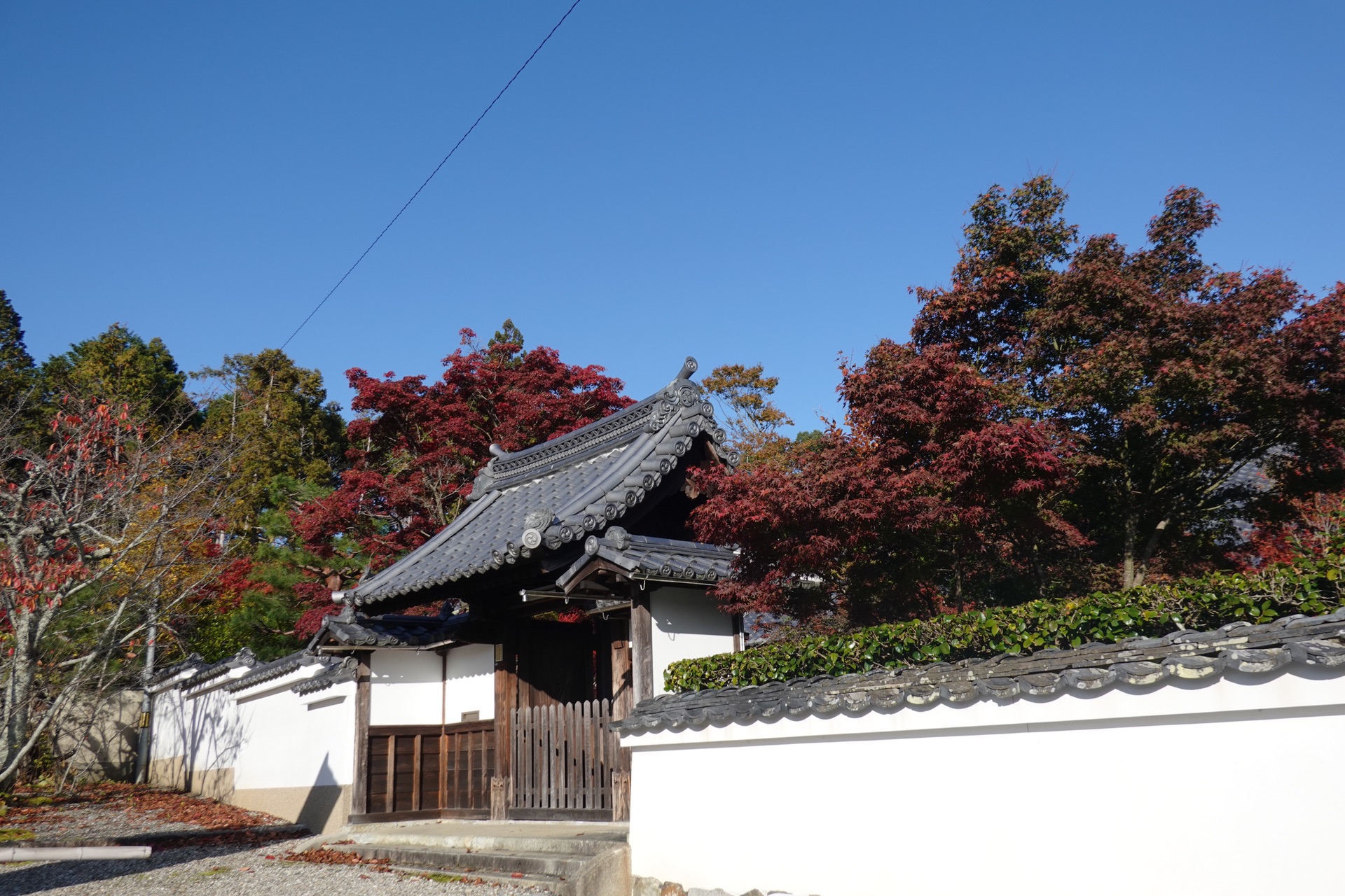 京都自助遊攻略