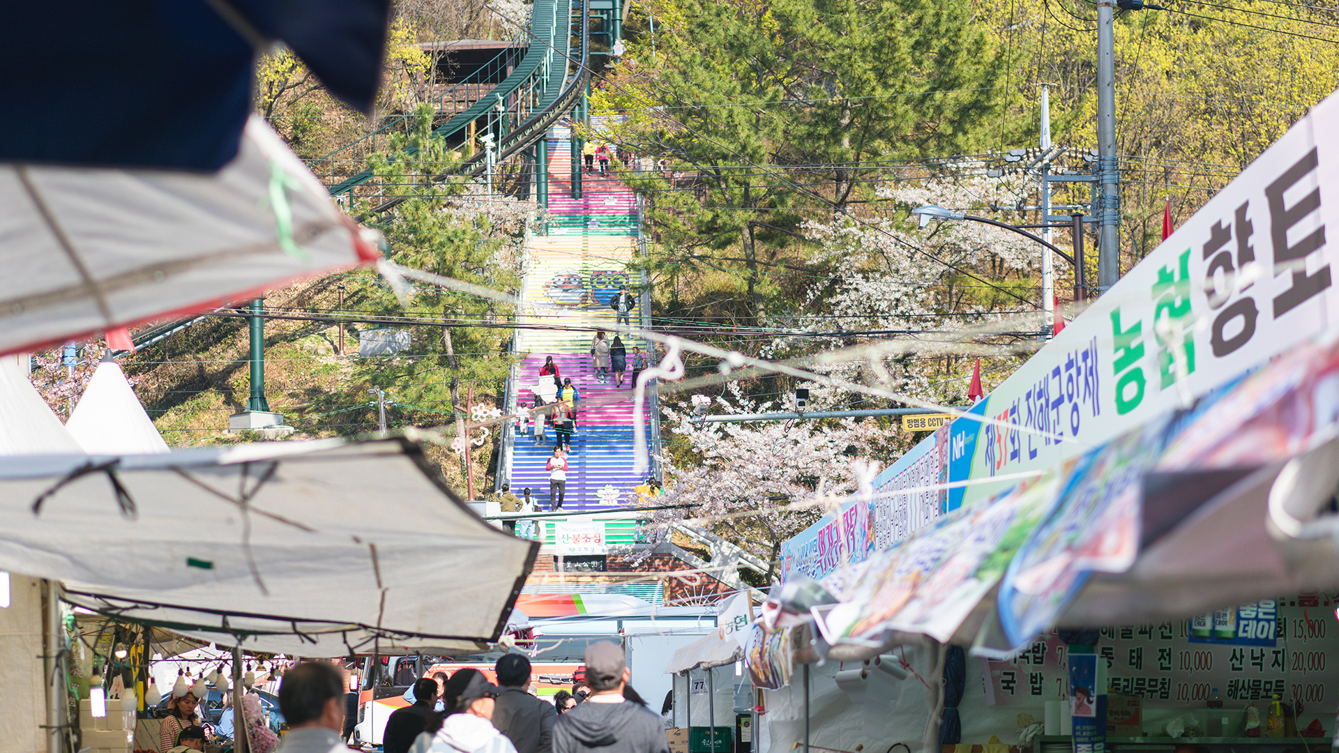 釜山自助遊攻略