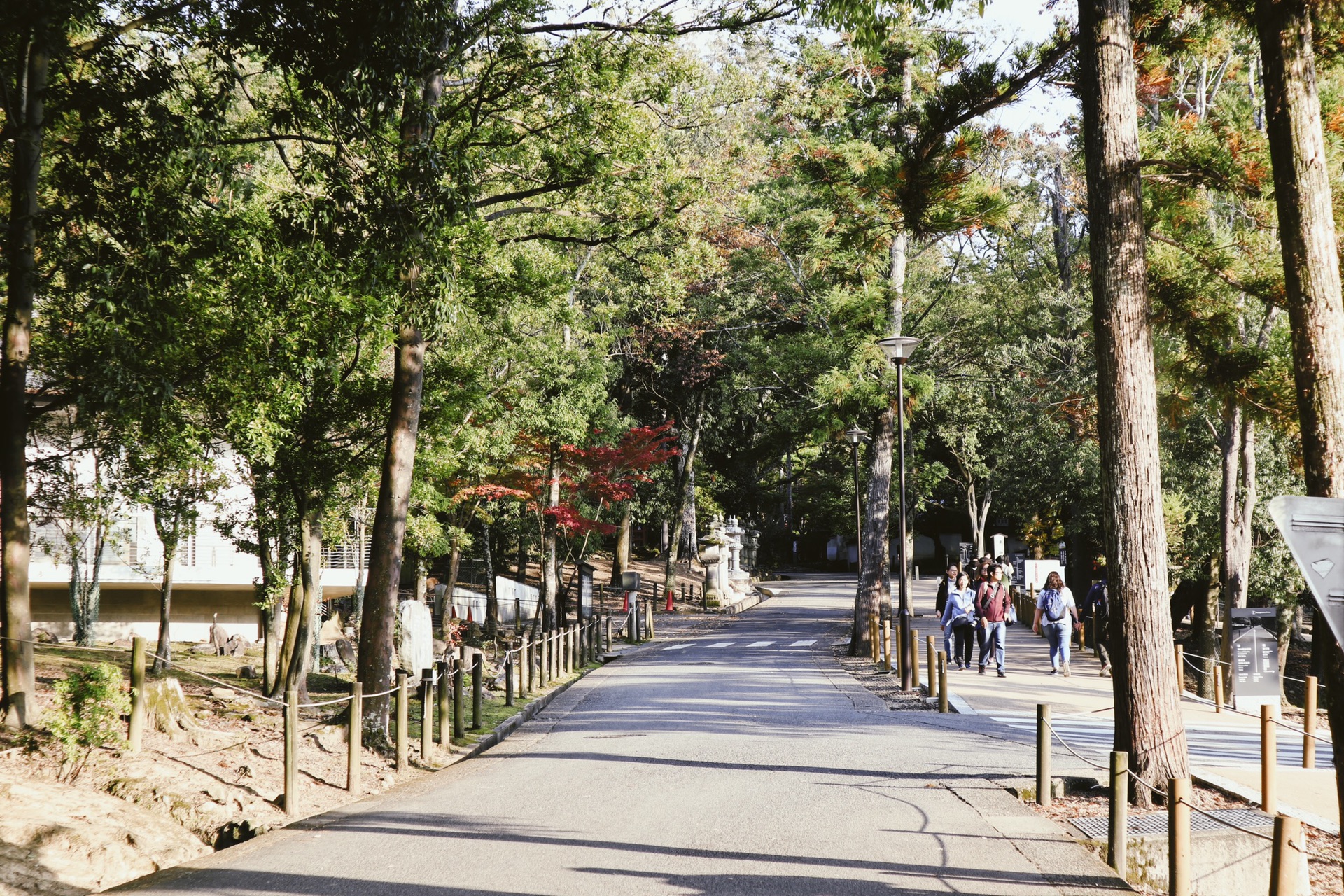 京都自助遊攻略