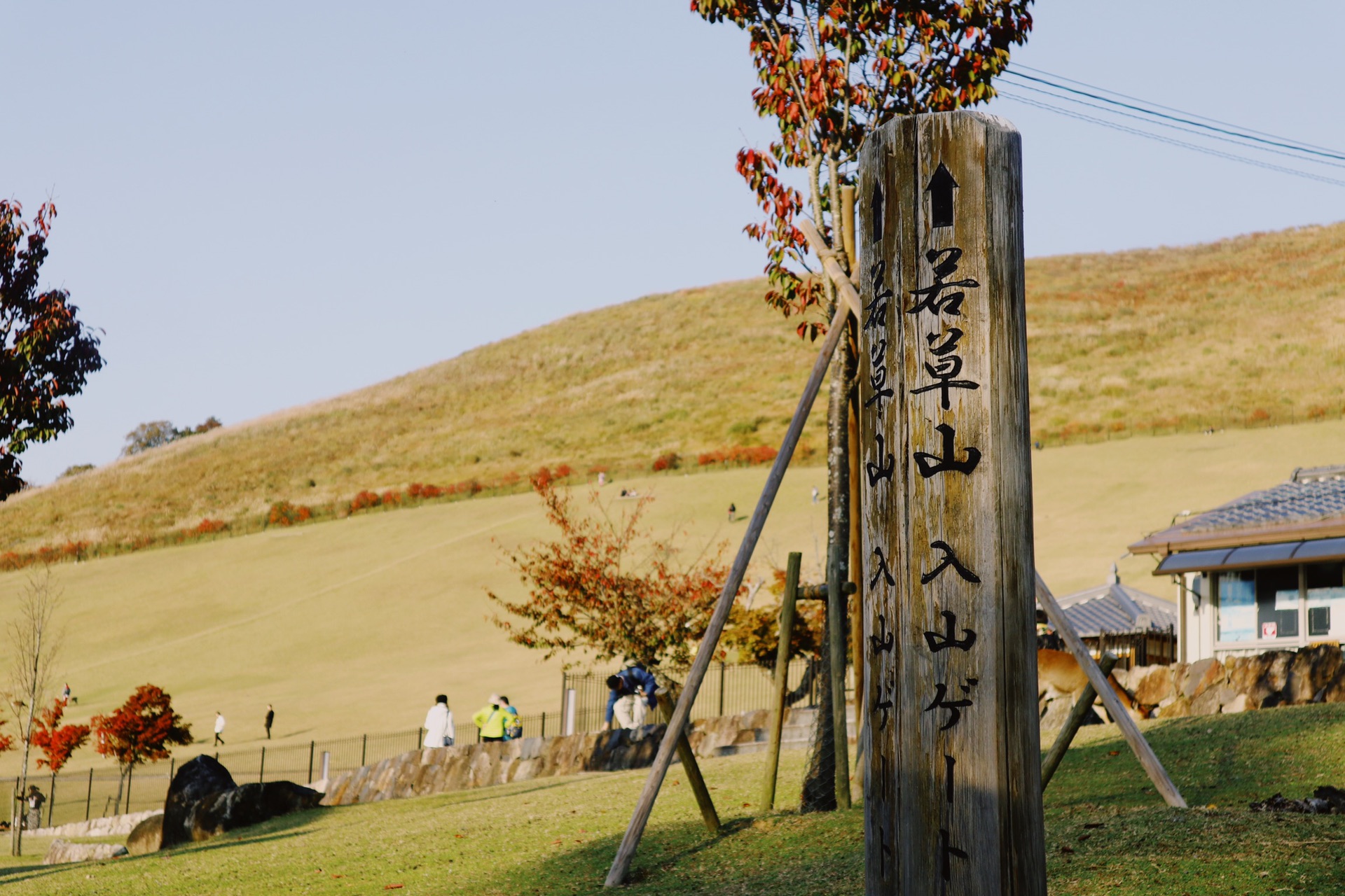 京都自助遊攻略