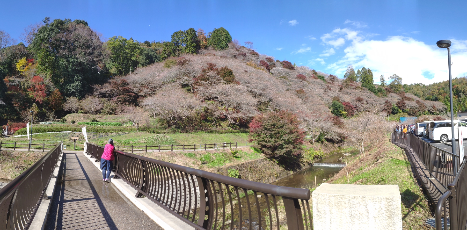 名古屋自助遊攻略