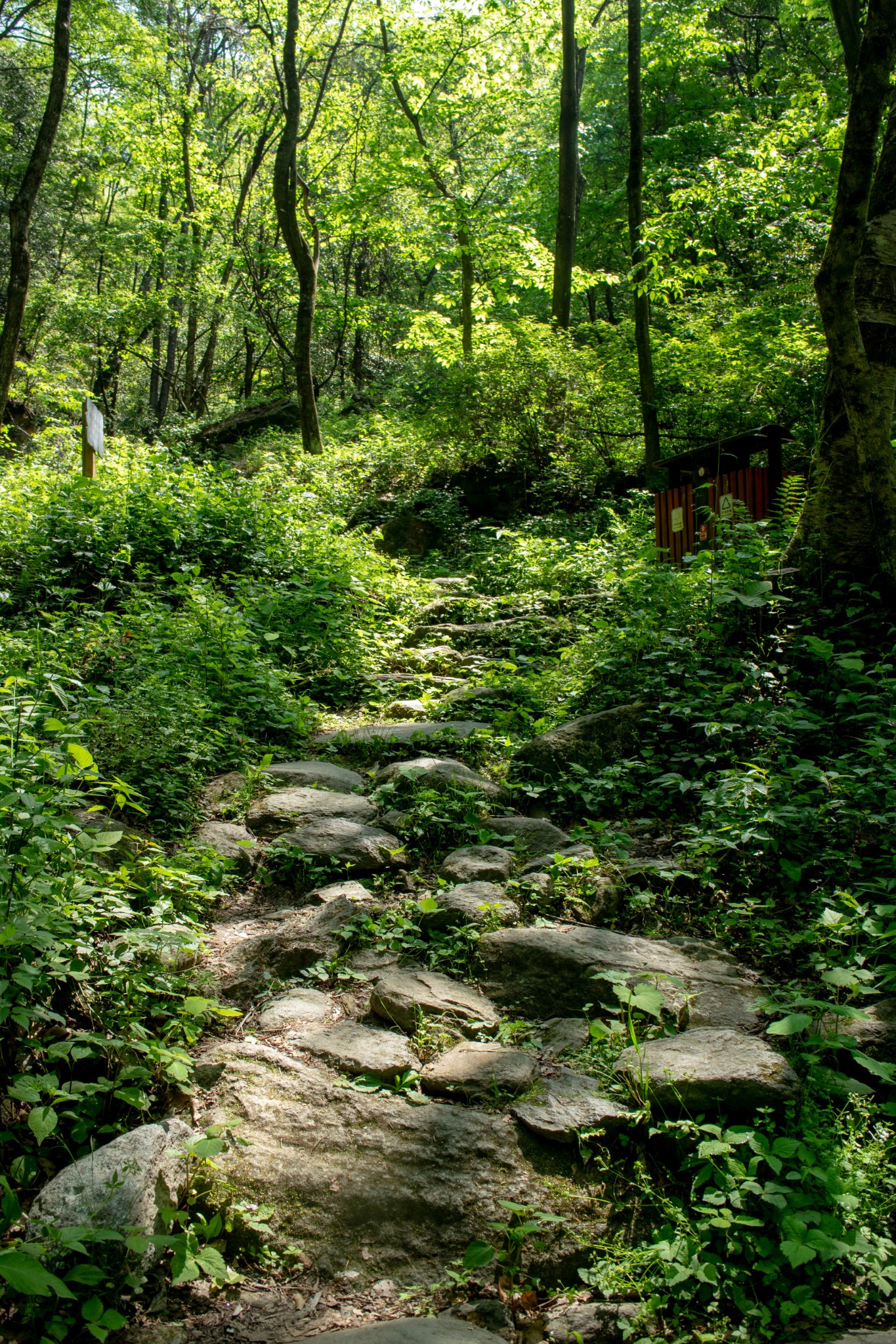 201678春游伏龙山,十堰自助游攻略 - 马蜂窝