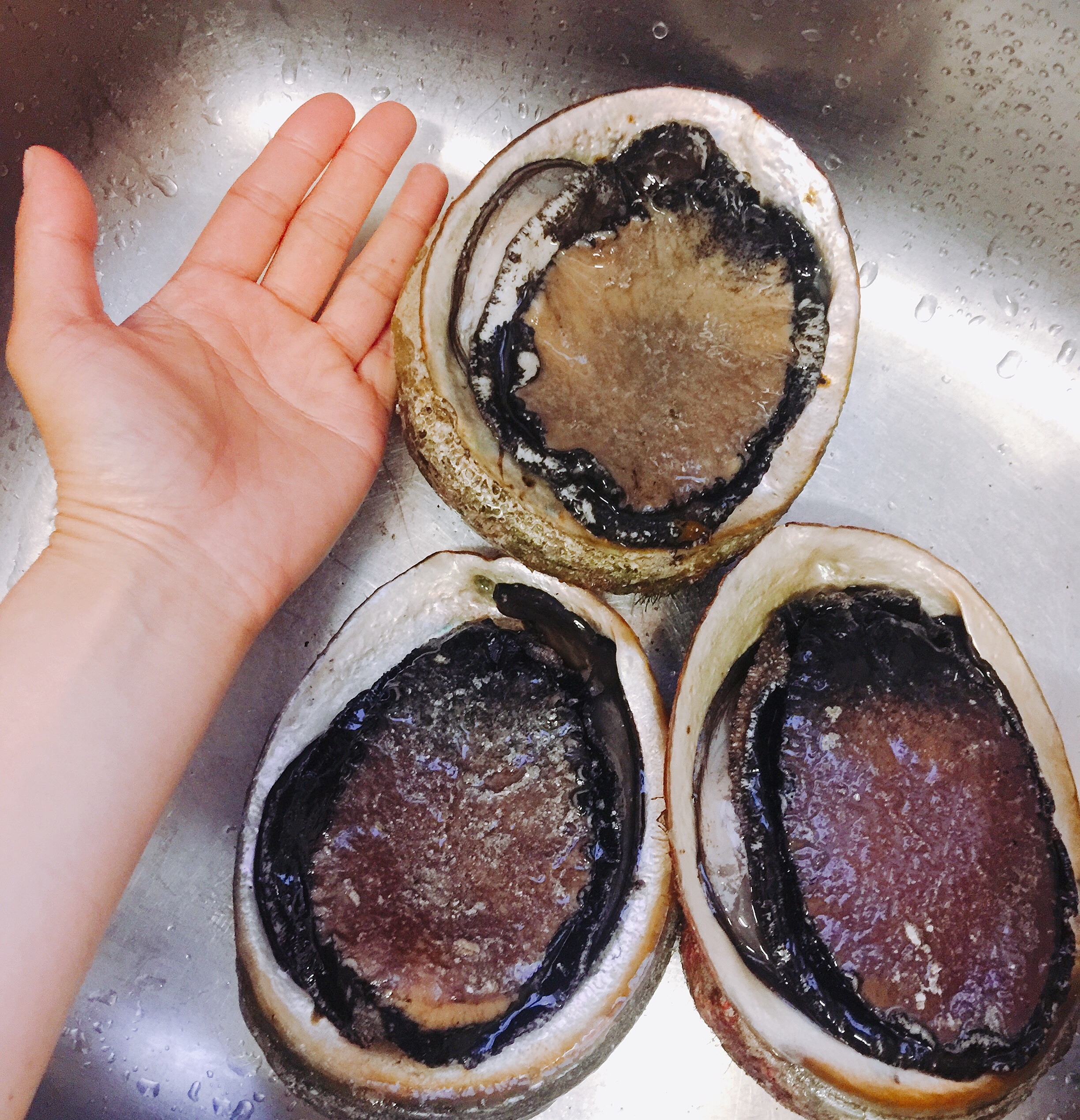 澳洲阿德莱德出发浮潜2日游亲自探寻龙虾鲍鱼免费品尝海鲜盛宴