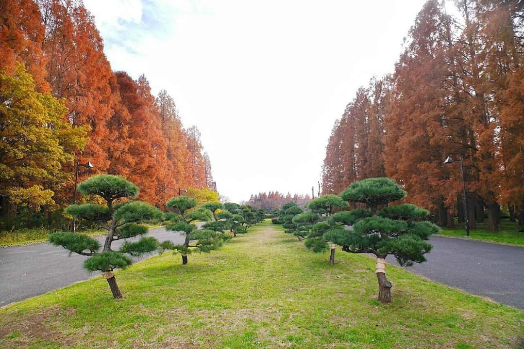 東京自助遊攻略