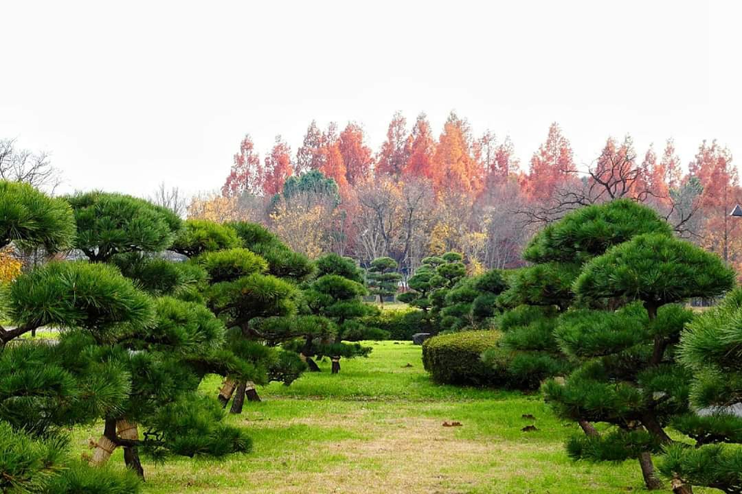 東京自助遊攻略