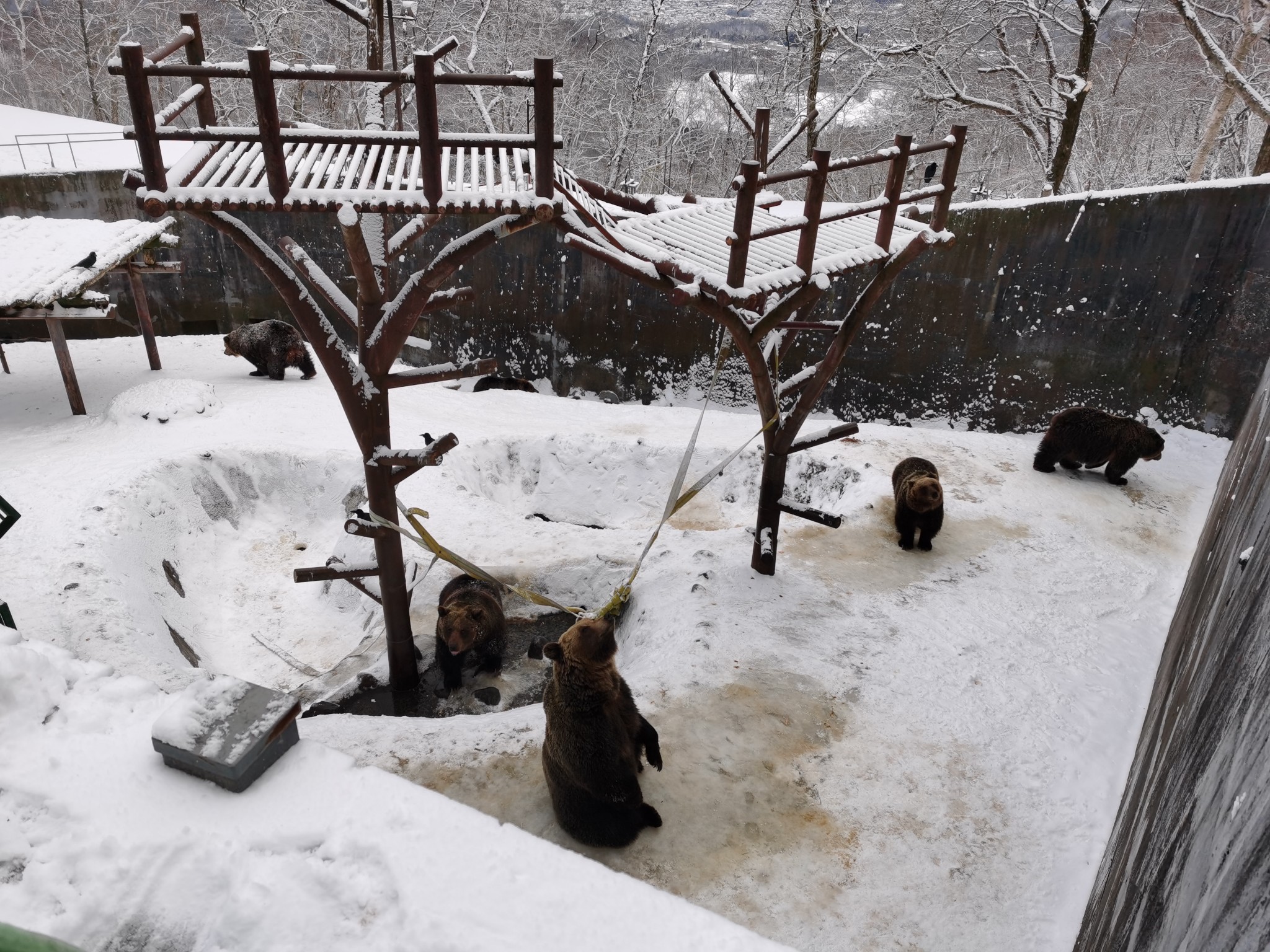 北海道自助遊攻略