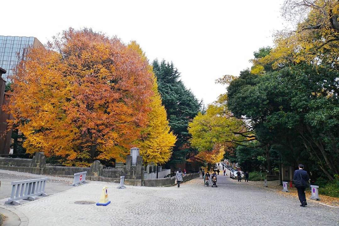 東京自助遊攻略