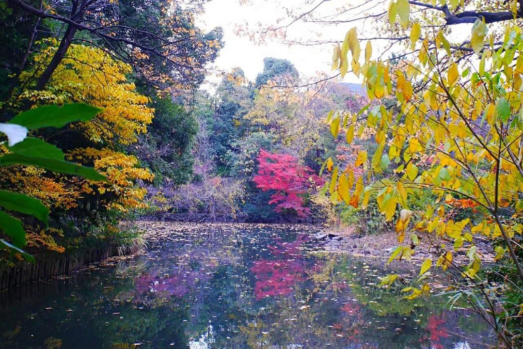 東京自助遊攻略