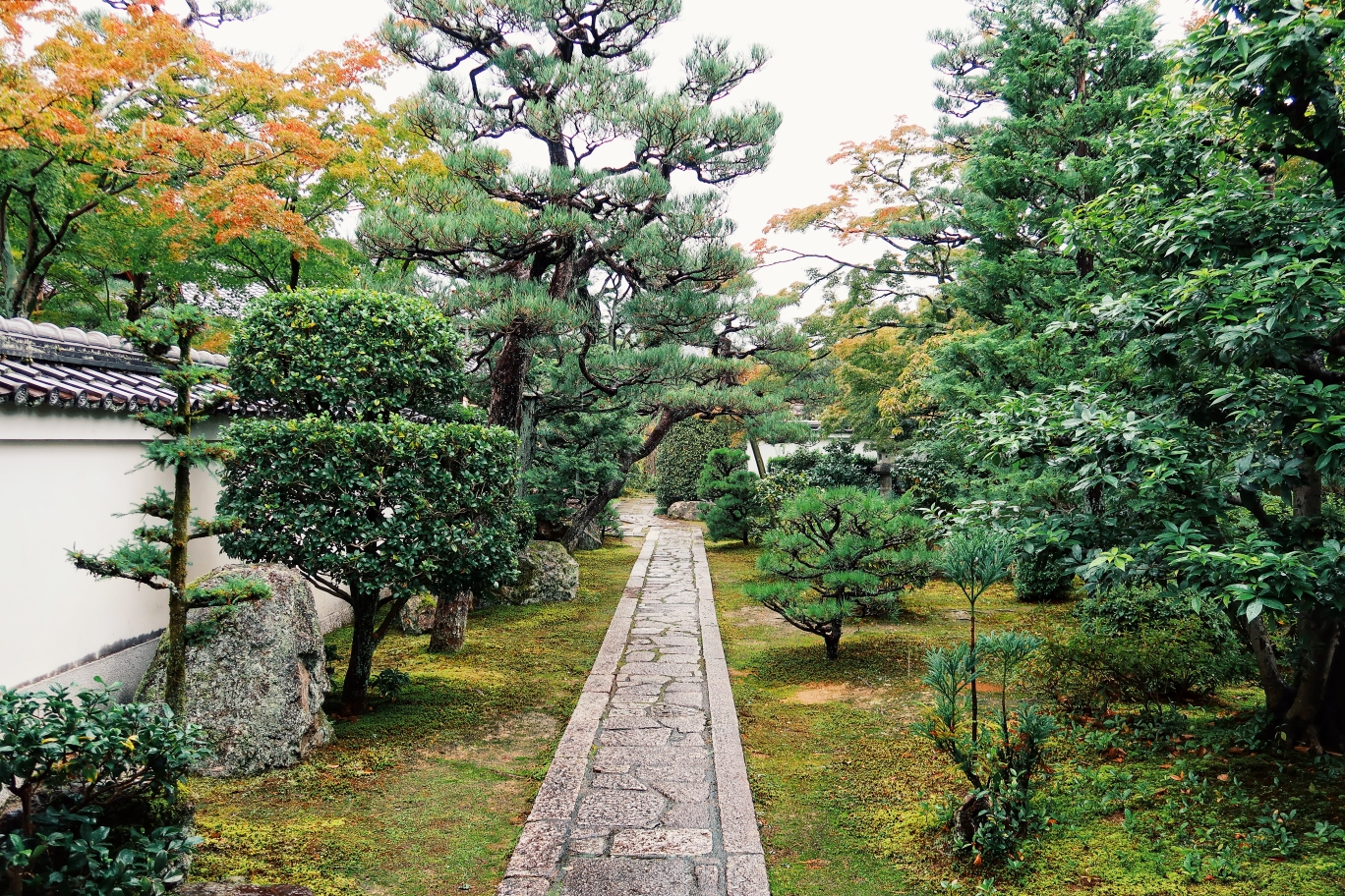 京都自助遊攻略