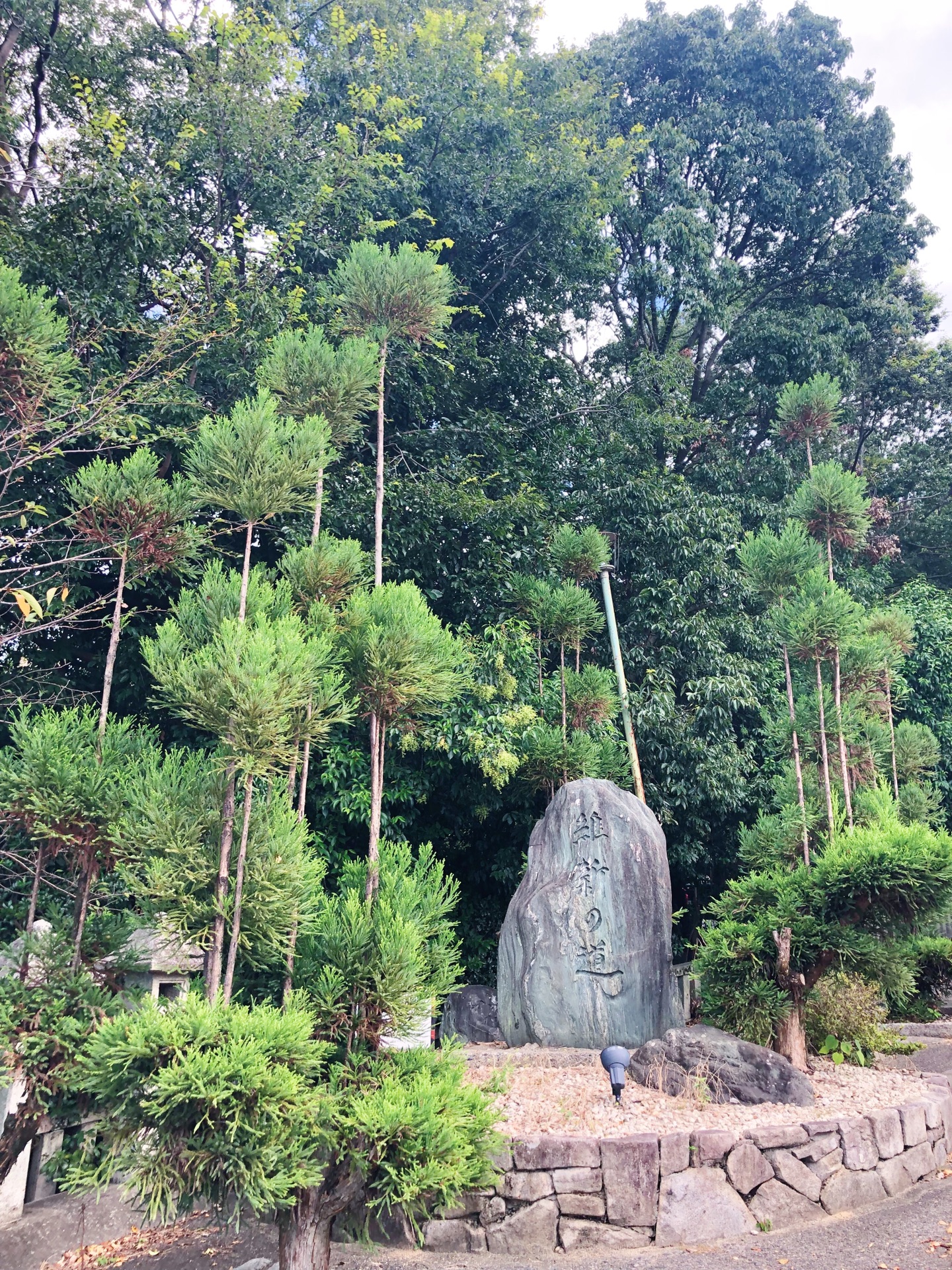 京都自助遊攻略