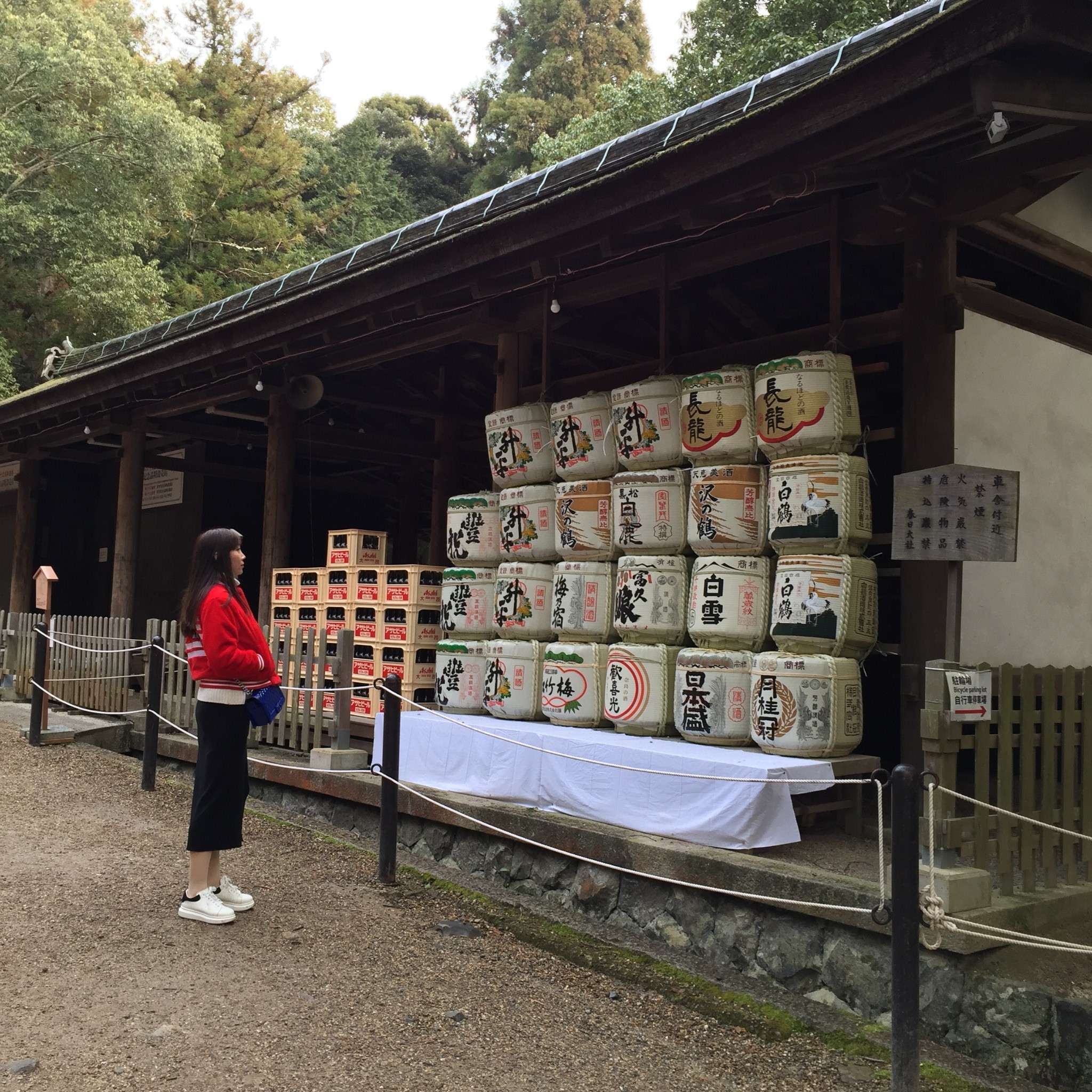 北海道自助遊攻略