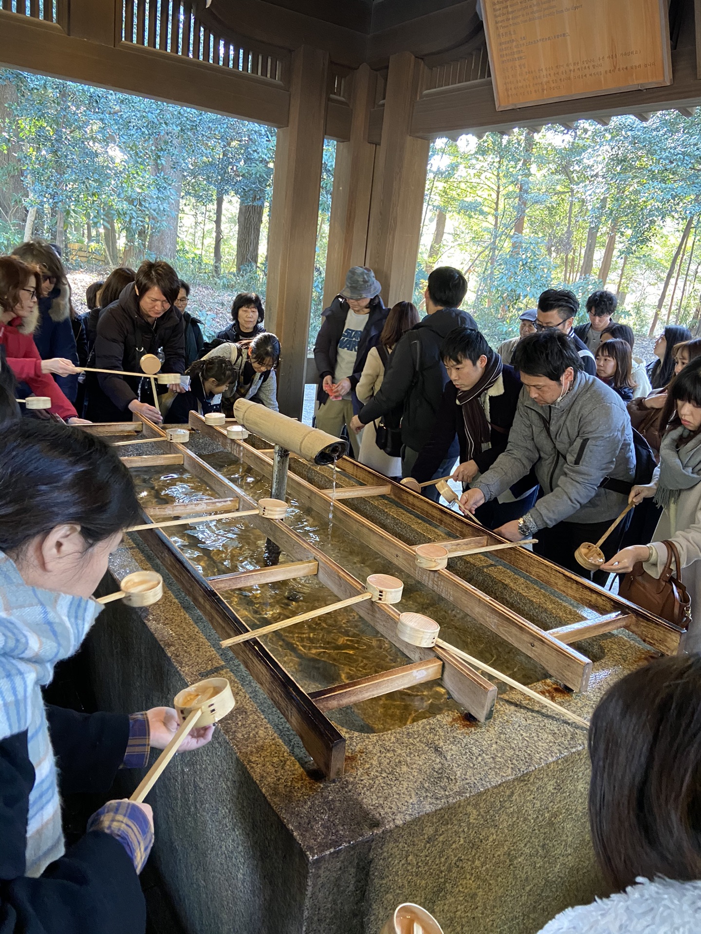 北海道自助遊攻略