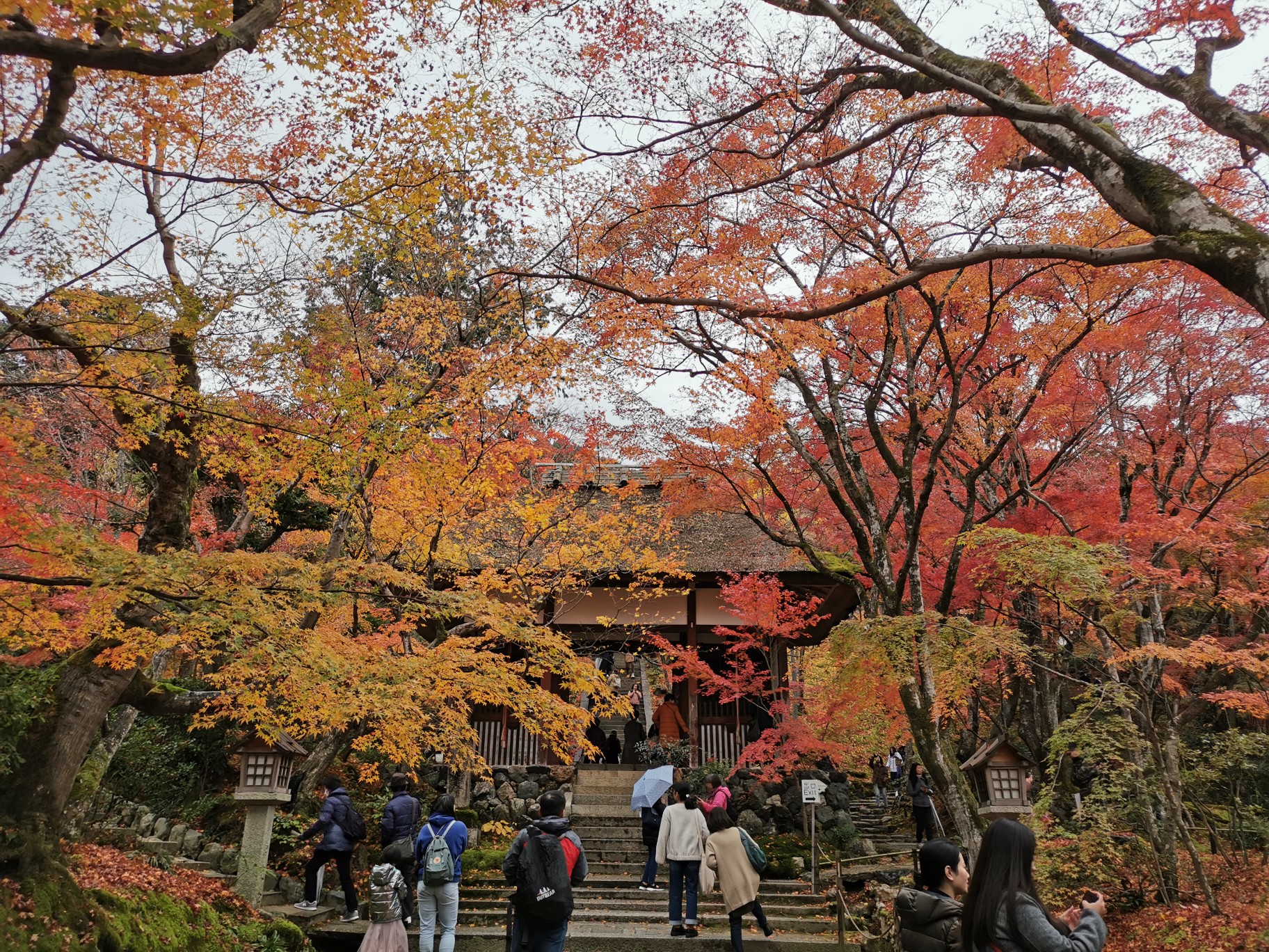 京都自助遊攻略