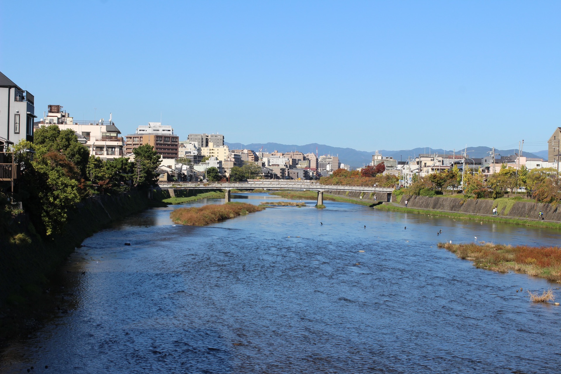 京都自助遊攻略