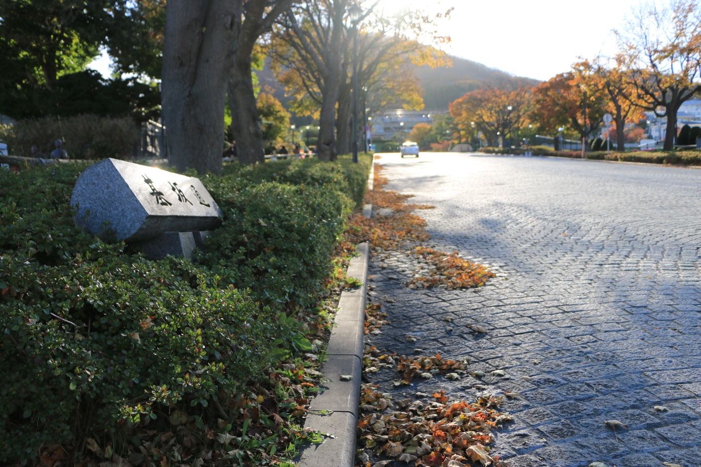 北海道自助遊攻略