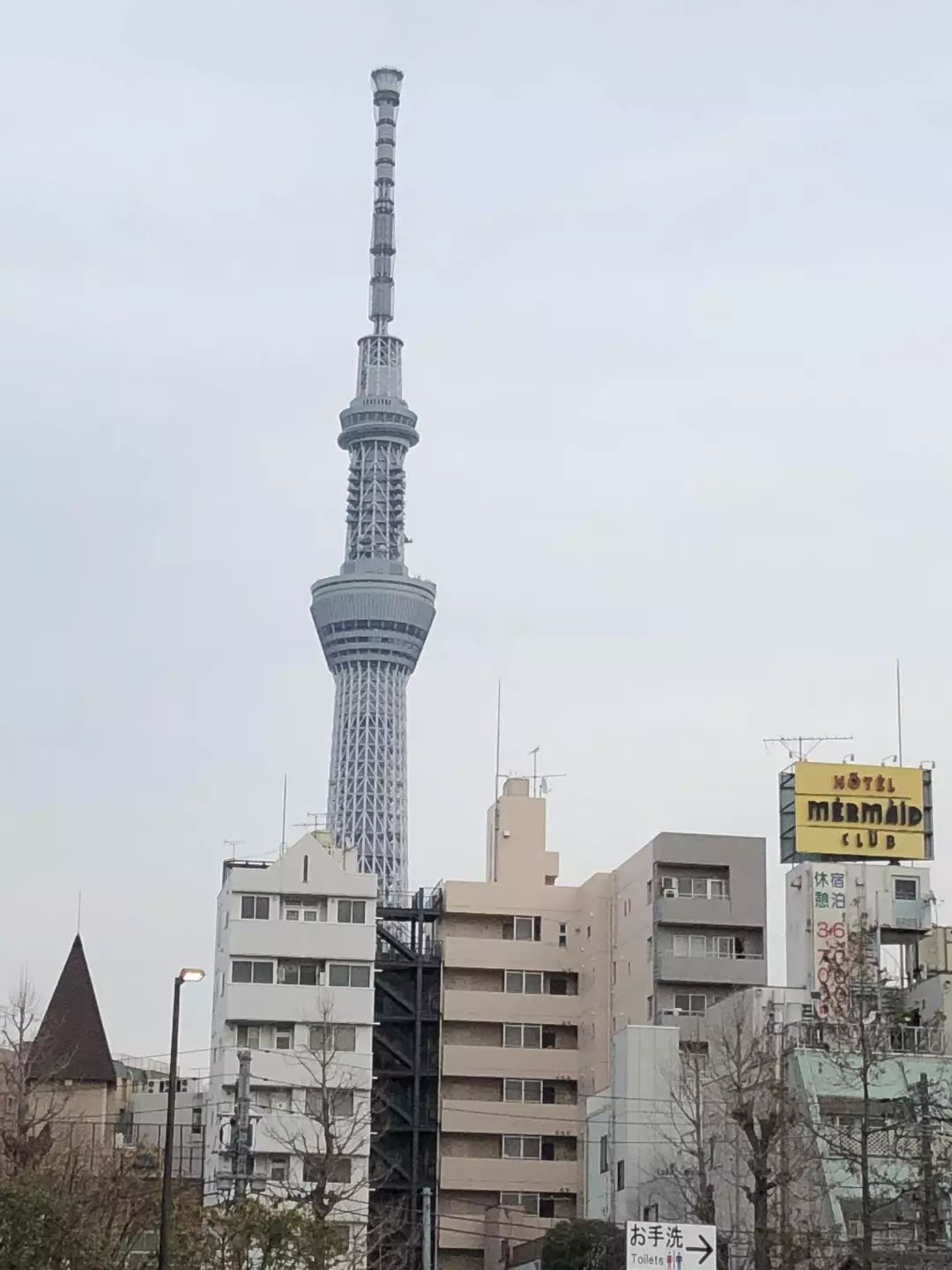 東京自助遊攻略