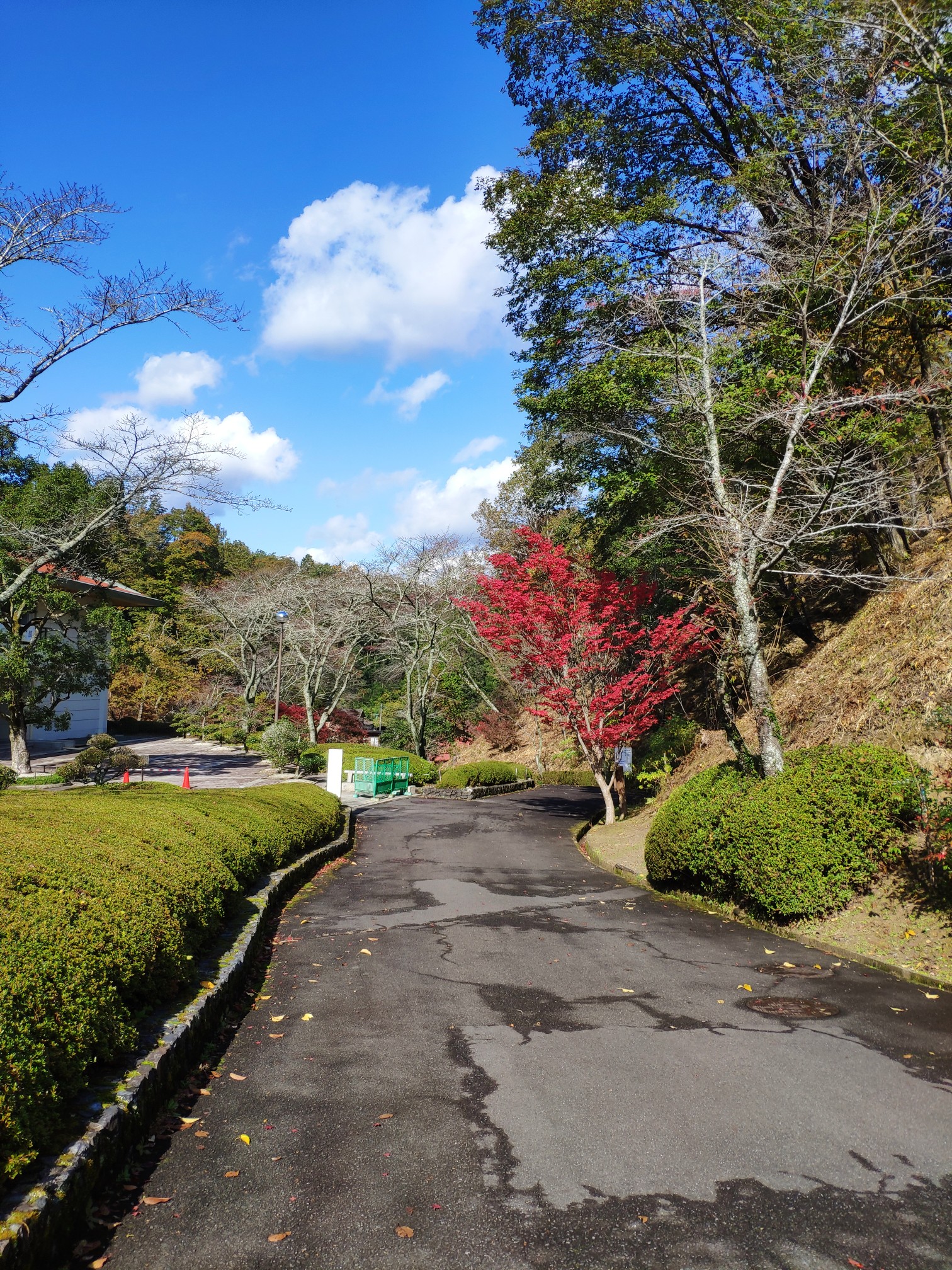 名古屋自助遊攻略