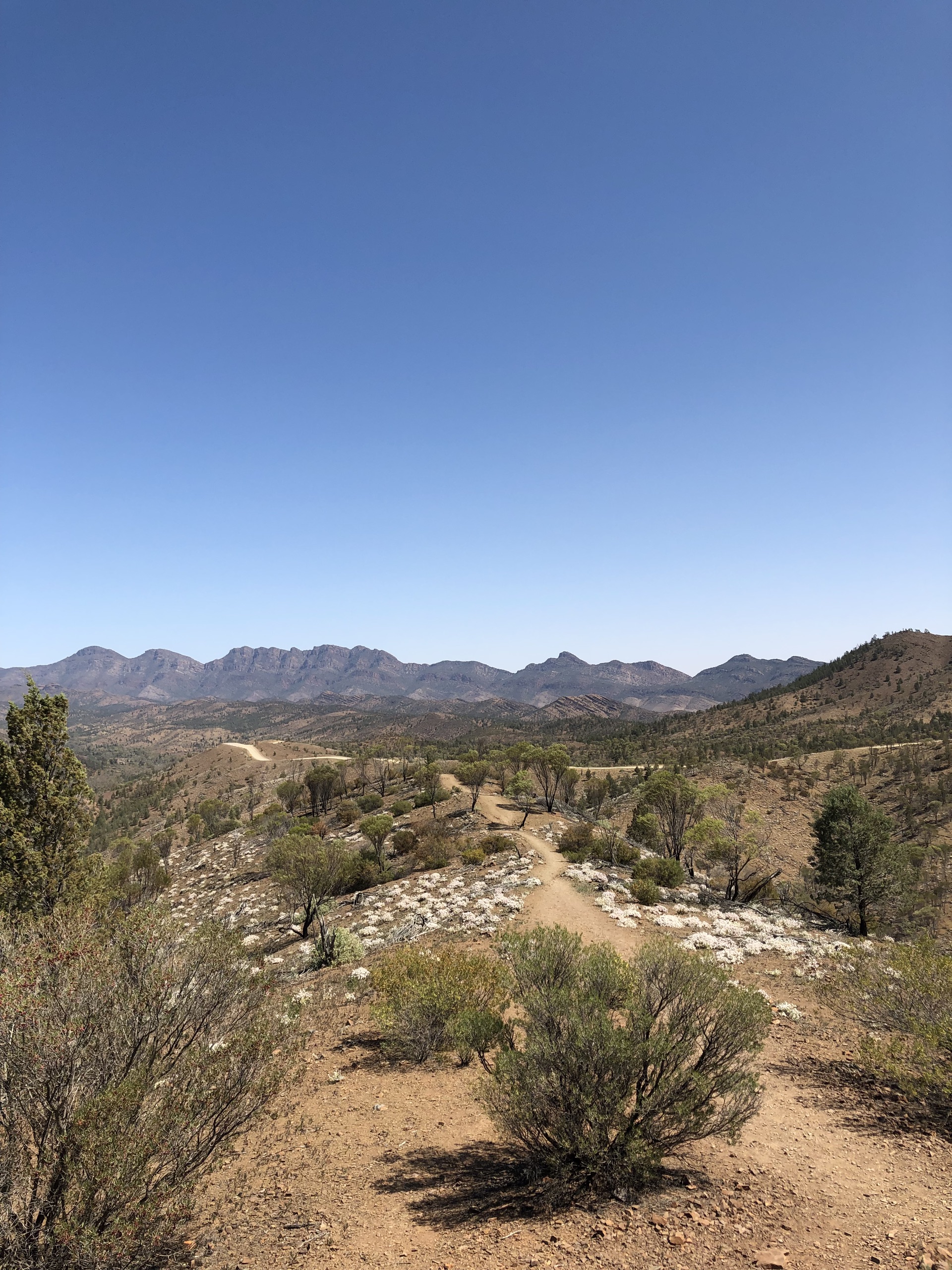 Wangara Lookout