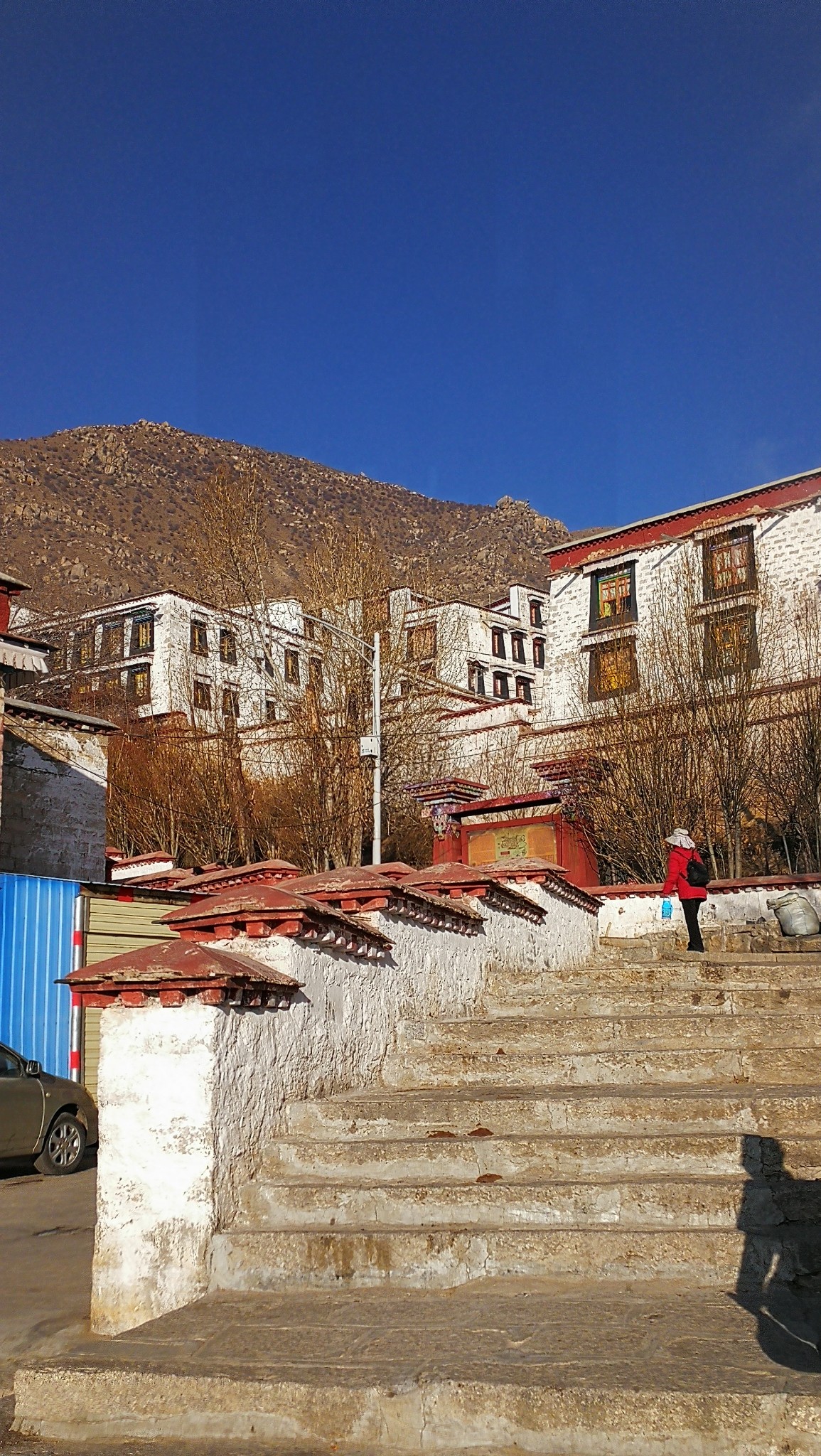 坐上火车去拉萨之四(哲蚌寺,罗布林卡),拉萨旅游攻略 - 马蜂窝