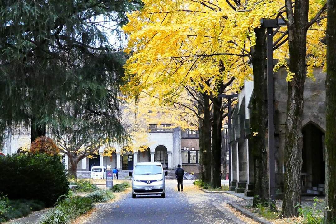 東京自助遊攻略