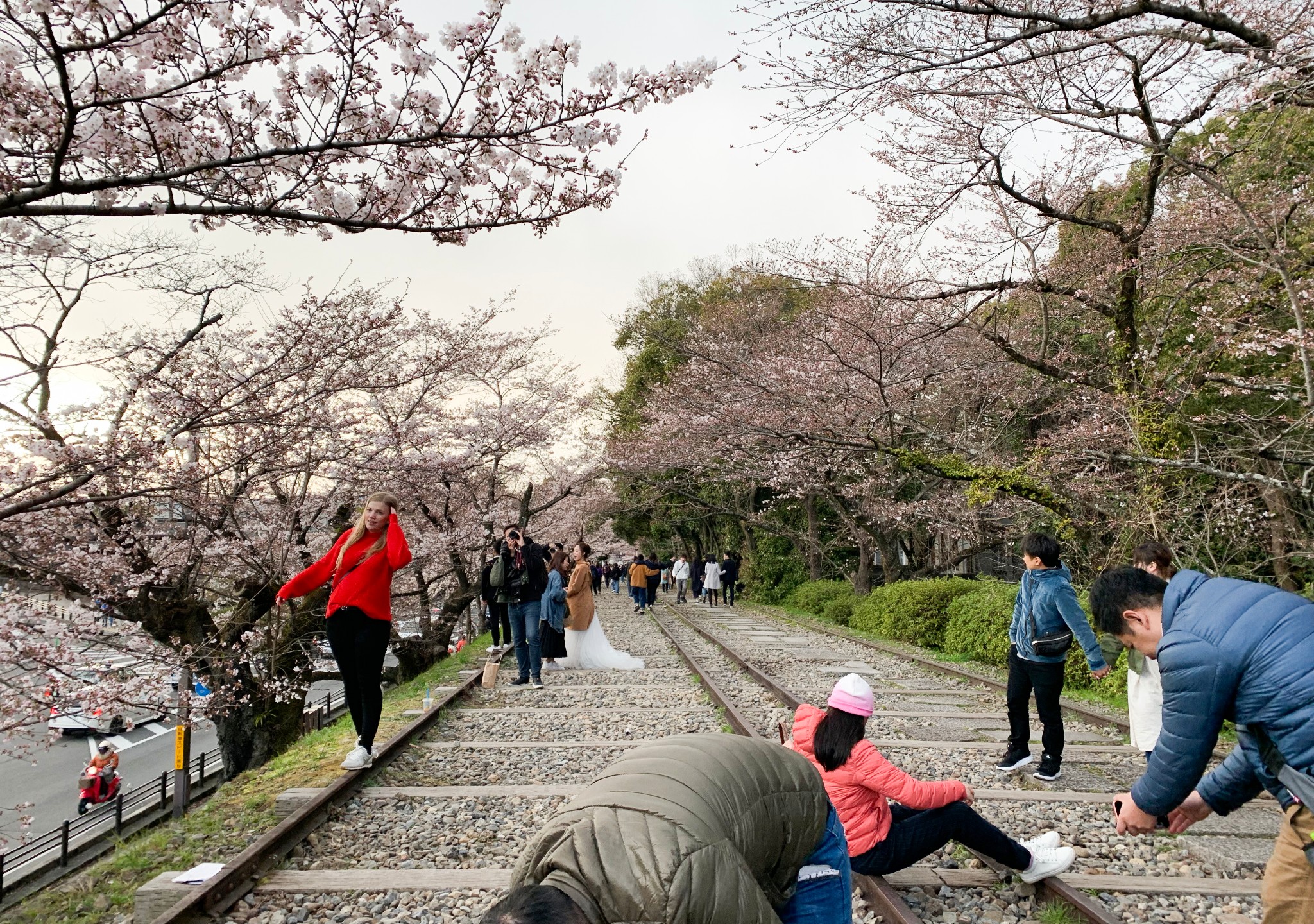 京都自助遊攻略