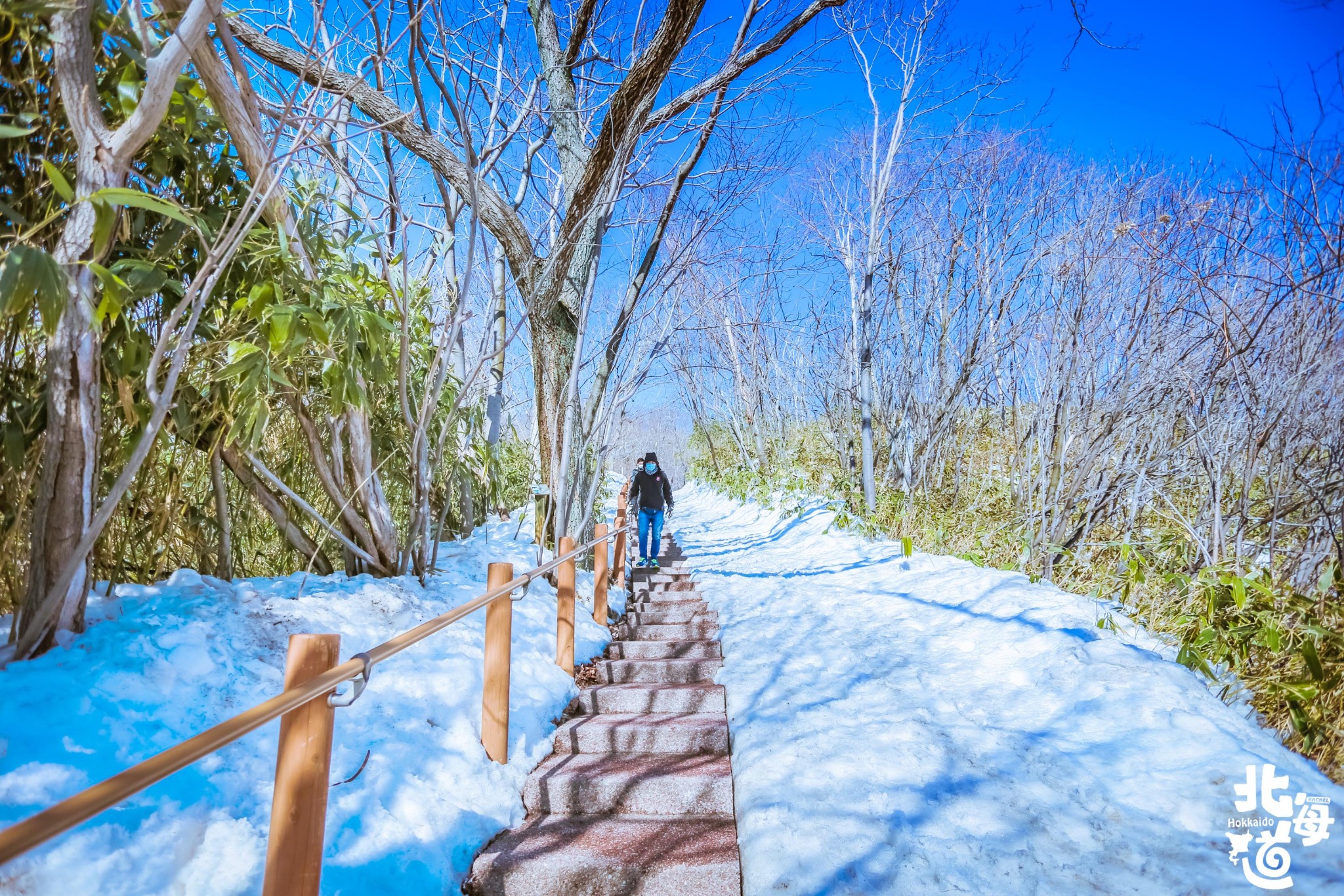 北海道自助遊攻略