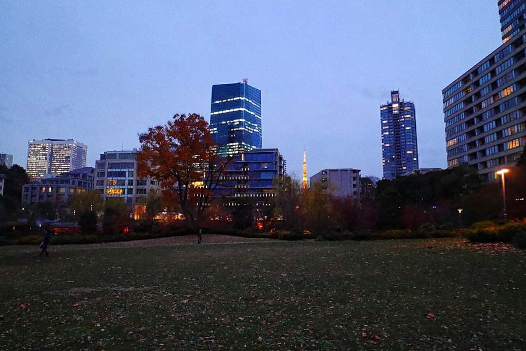 東京自助遊攻略