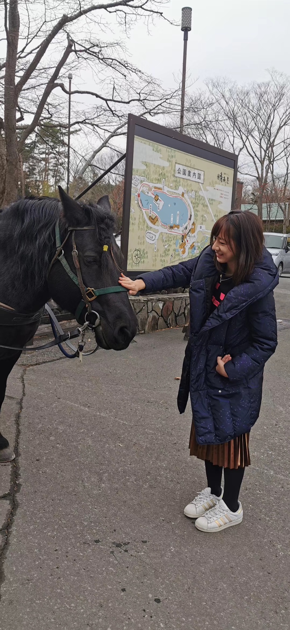 青森縣自助遊攻略