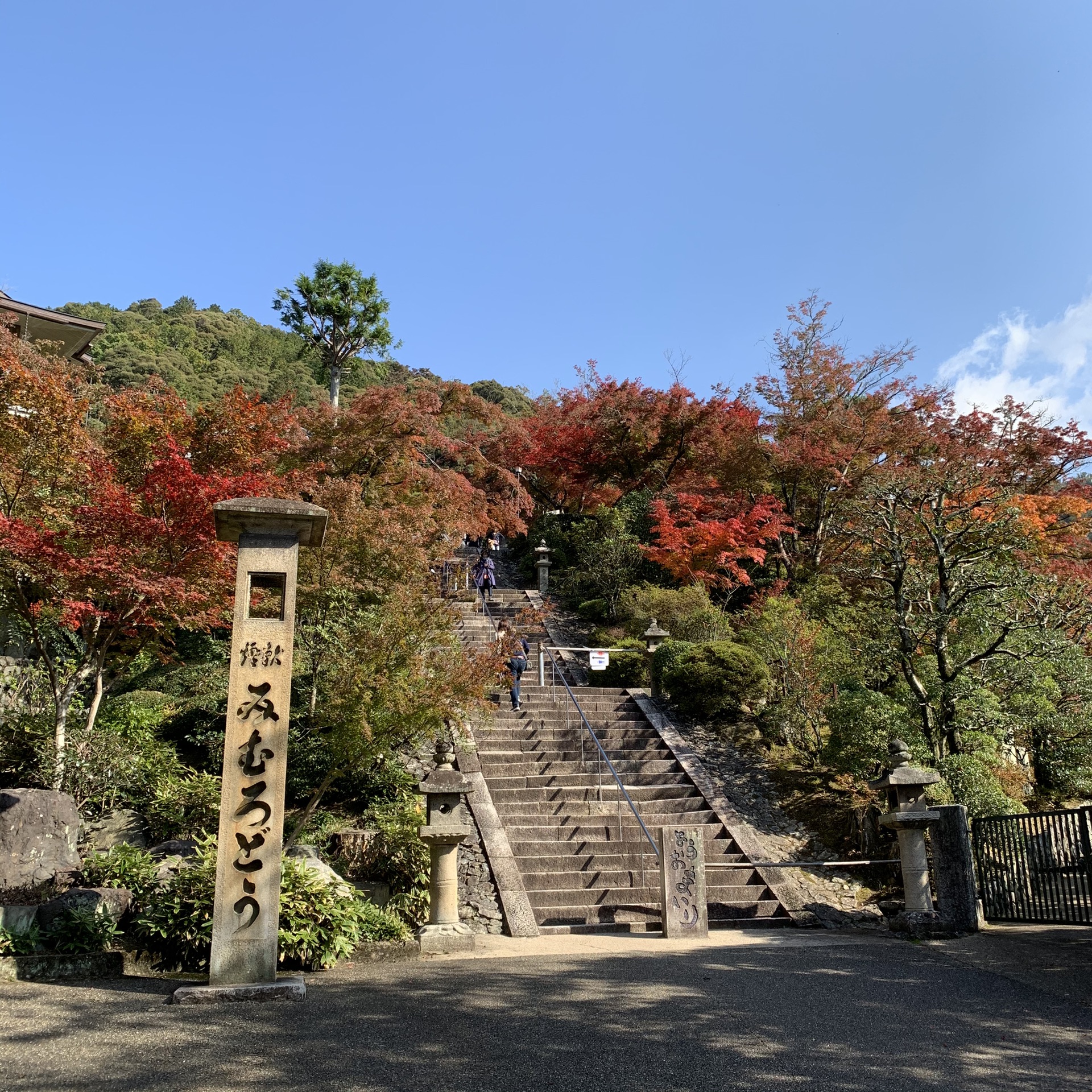 京都自助遊攻略