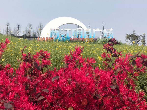 2020漫步复盛油菜花地