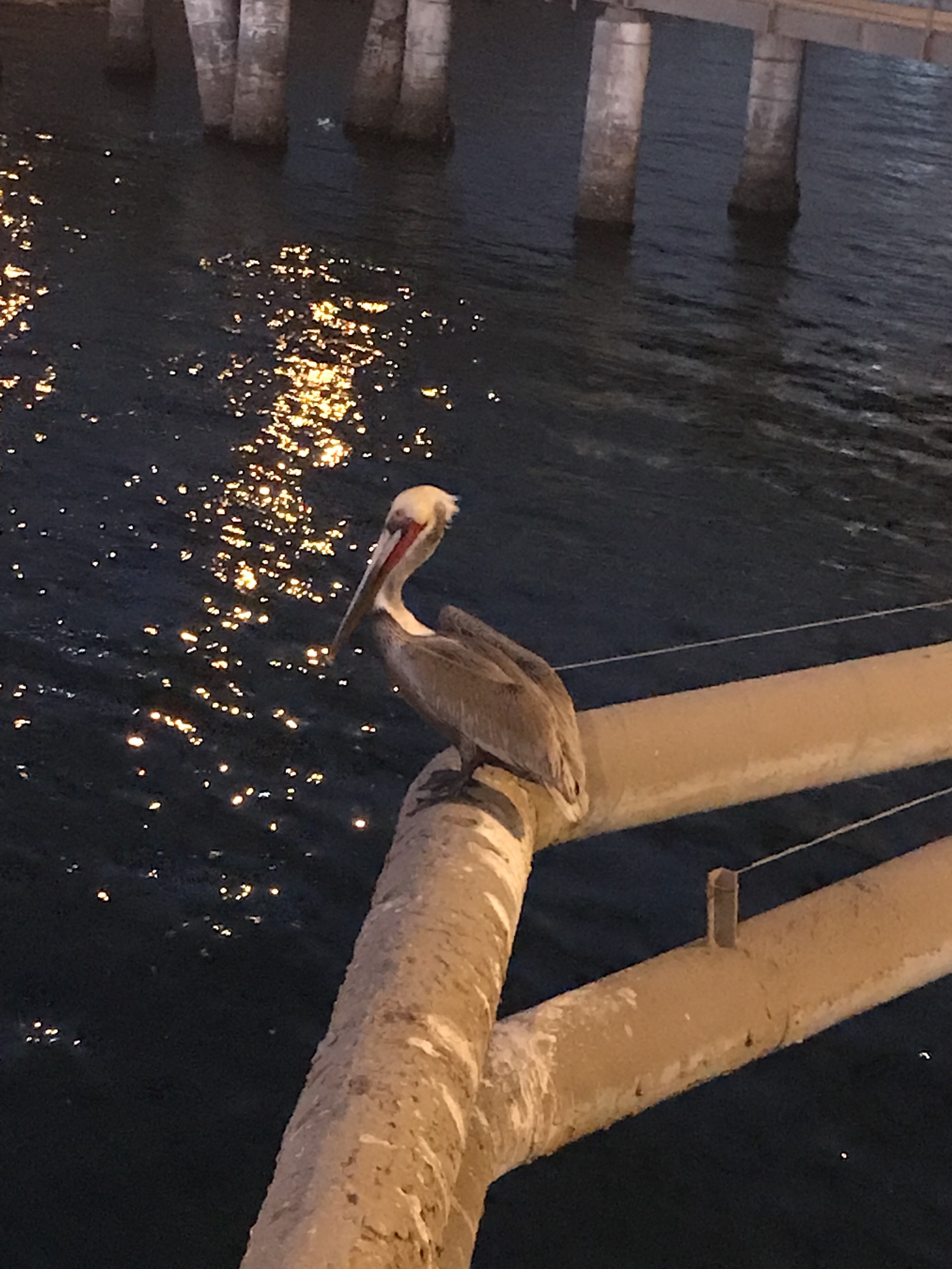 Malecon Turistico