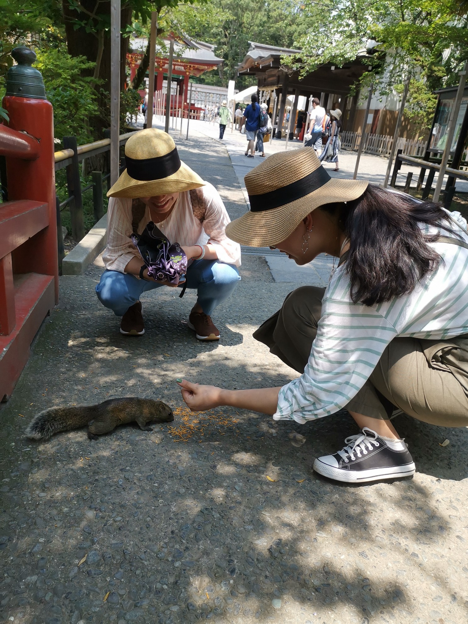 東京自助遊攻略