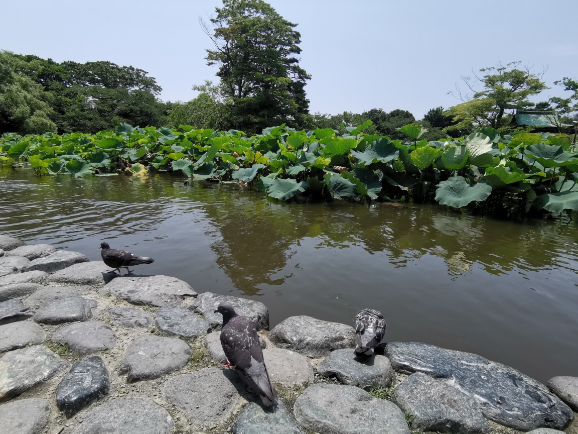 東京自助遊攻略