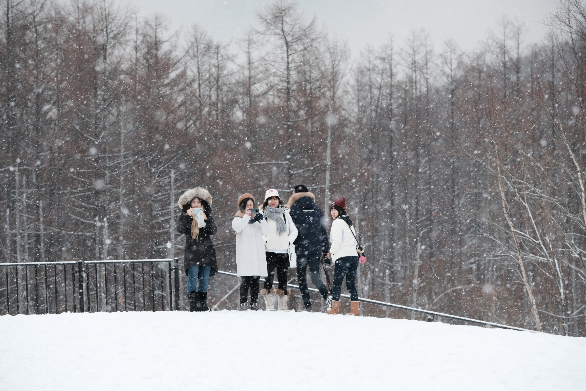 北海道自助遊攻略