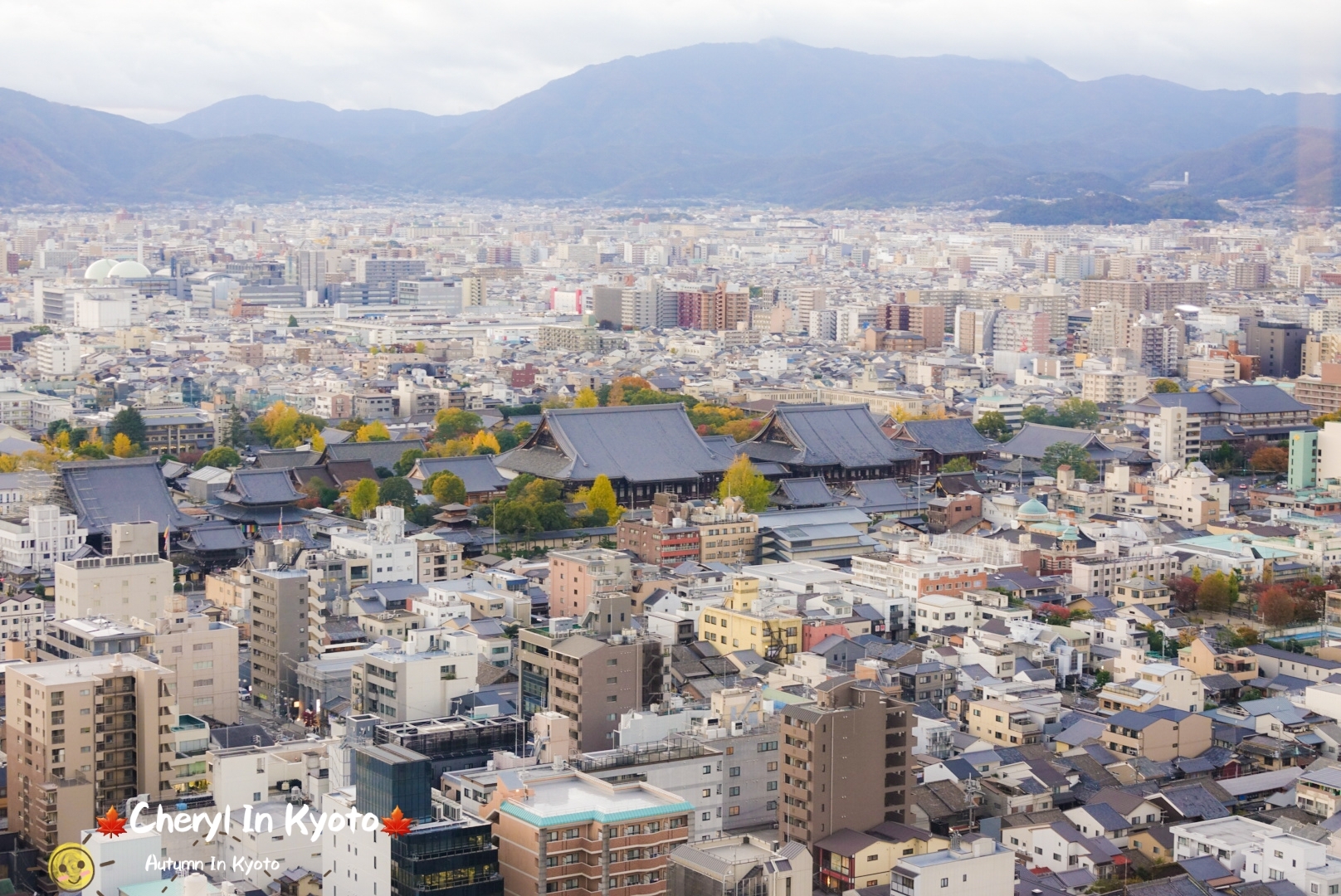 京都自助遊攻略