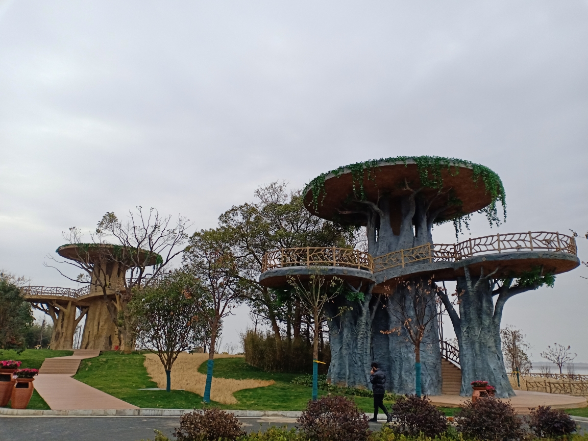 世界溼地,候鳥王國~九江吳城觀鳥一日遊圖片51,鄱陽湖旅遊景點,風景