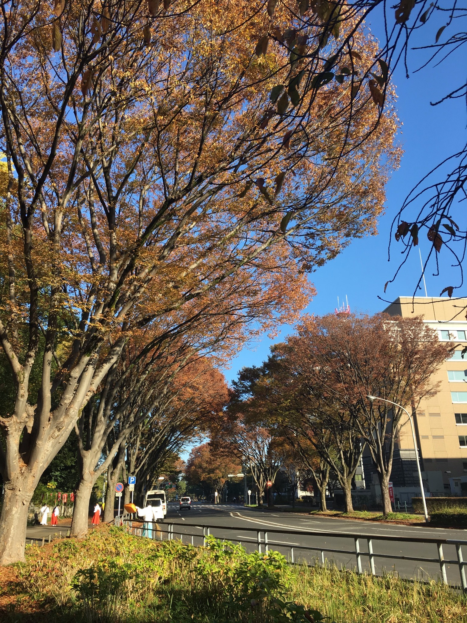 名古屋自助遊攻略