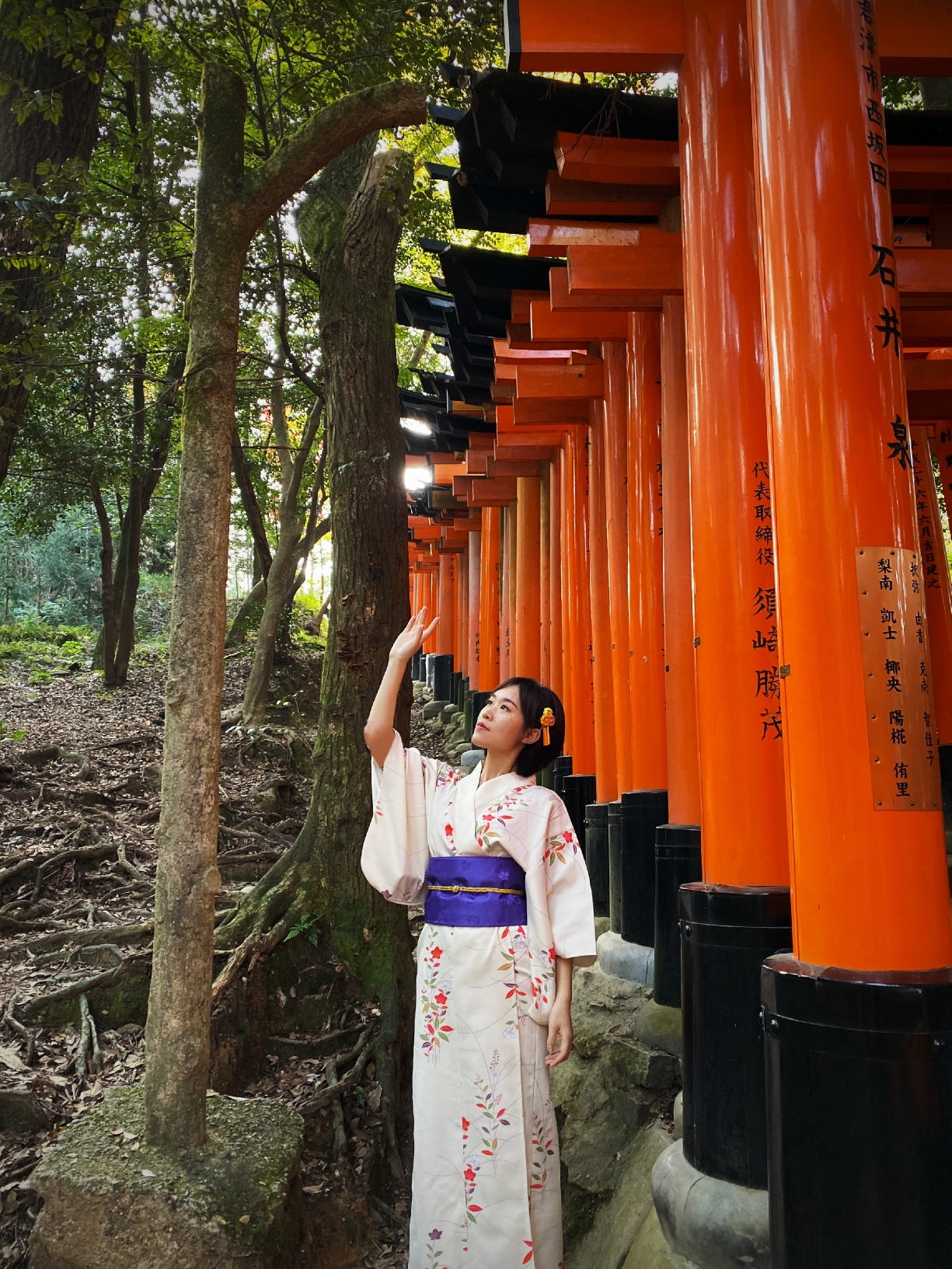 京都自助遊攻略