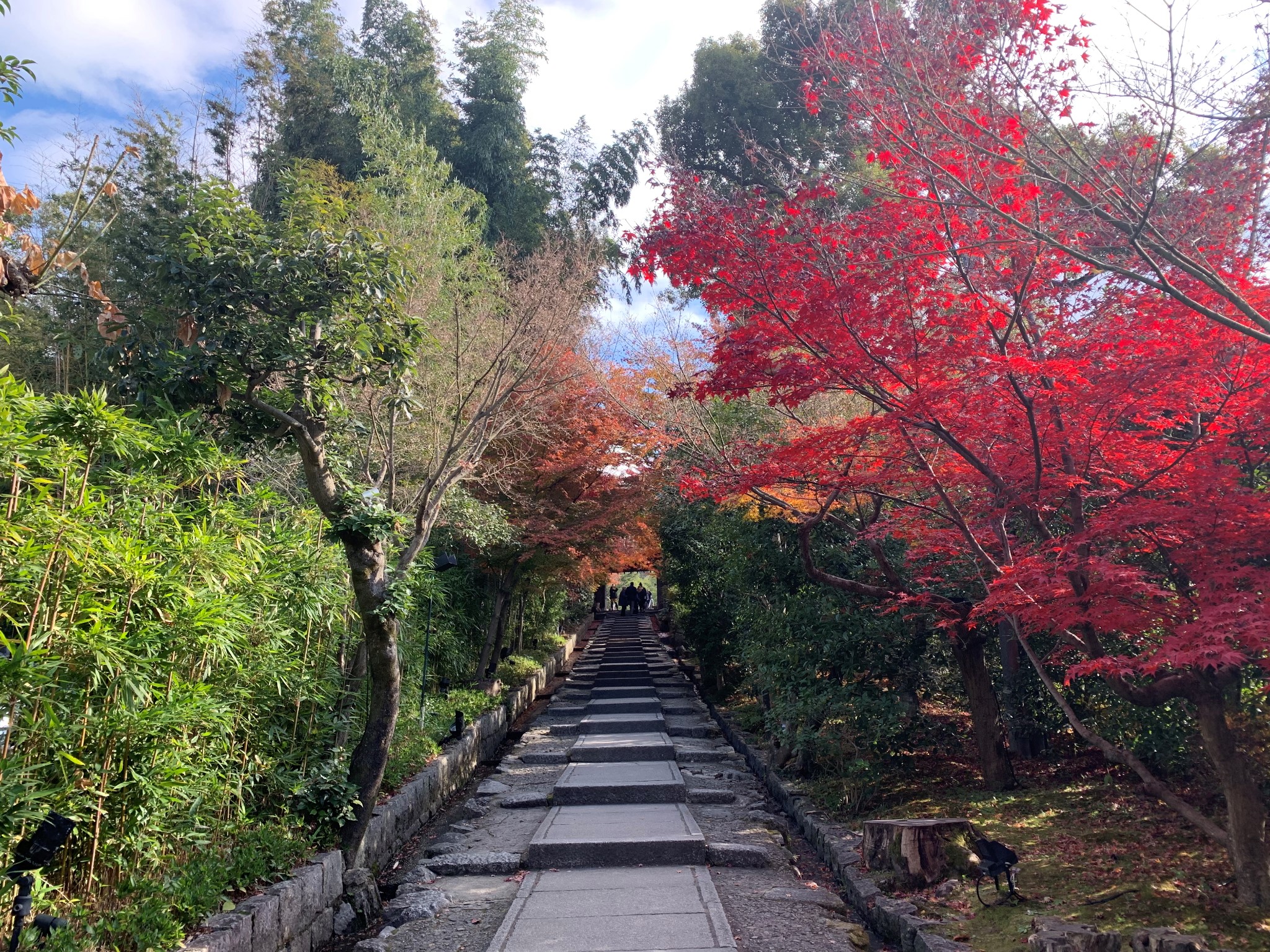 京都自助遊攻略